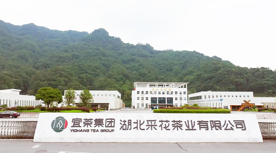 宜茶集团采花茶业
