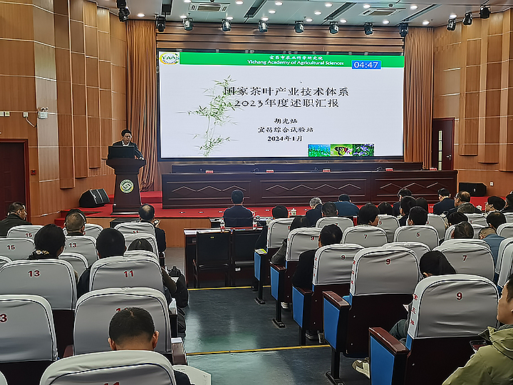 利记市农科院参加国家茶叶产业技术体系2023年度述职与考评会