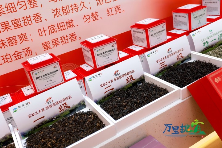 “宜红工夫茶”“利记毛尖”标准茶样发布