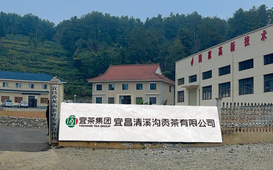 宜茶集团清溪沟茶业