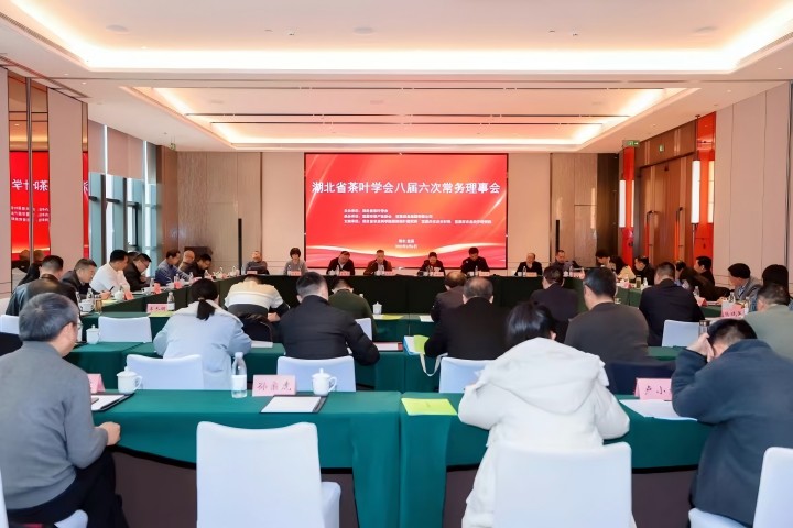 “宜茶模式”获茶界认可，湖北茶产业迎来发展新引擎