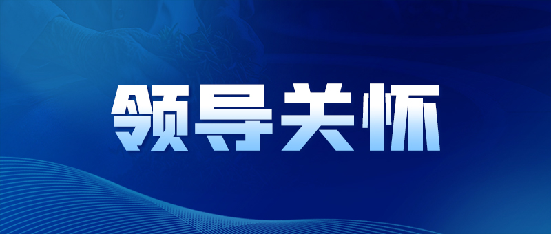 领导关怀/利记市国资委党委书记、主任黄智华到宜茶集团成员企业调研